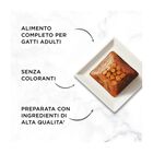 Gourmet Cat Adult Revelations Salmone 4x57g