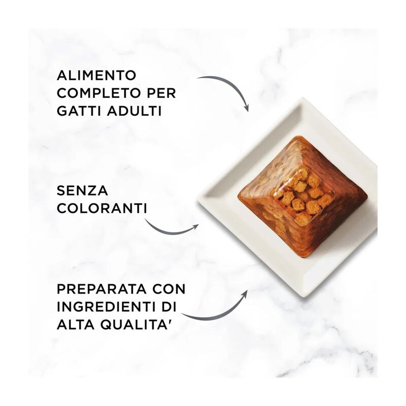 Gourmet Cat Adult Revelations Salmone 4x57g