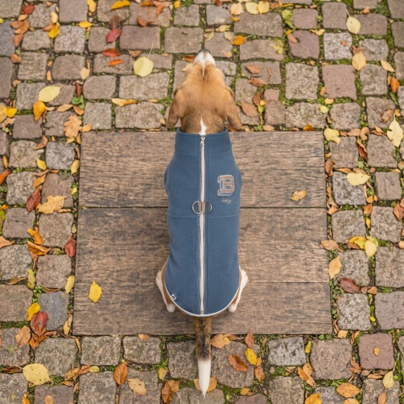 Croci Smooth Pile per cani Tg. 40 Blu