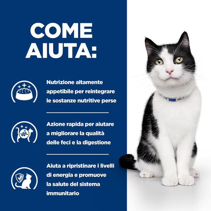 Hill's Prescription Diet Cat i/d Digestive Care con Salmone 85 gr