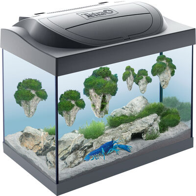 Tetra Starter Line Led 30 l