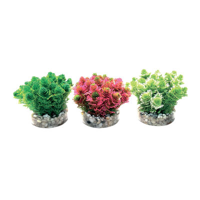 Sydeco Pianta decorativa Grass Bush 8 cm