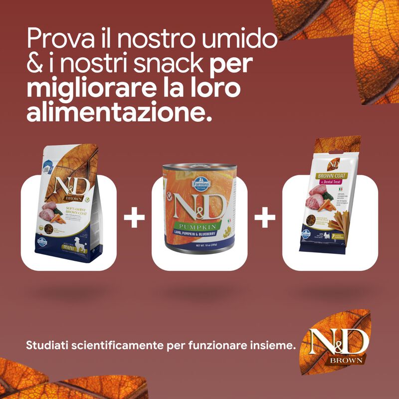 N&D Farmina Brown Coat Dog Adult Mini Agnello, Carote & Spirulina 2 kg
