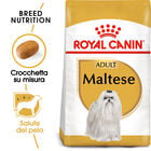 Royal Canin Dog Adult Maltese 500 gr - Scad. Gennaio 26