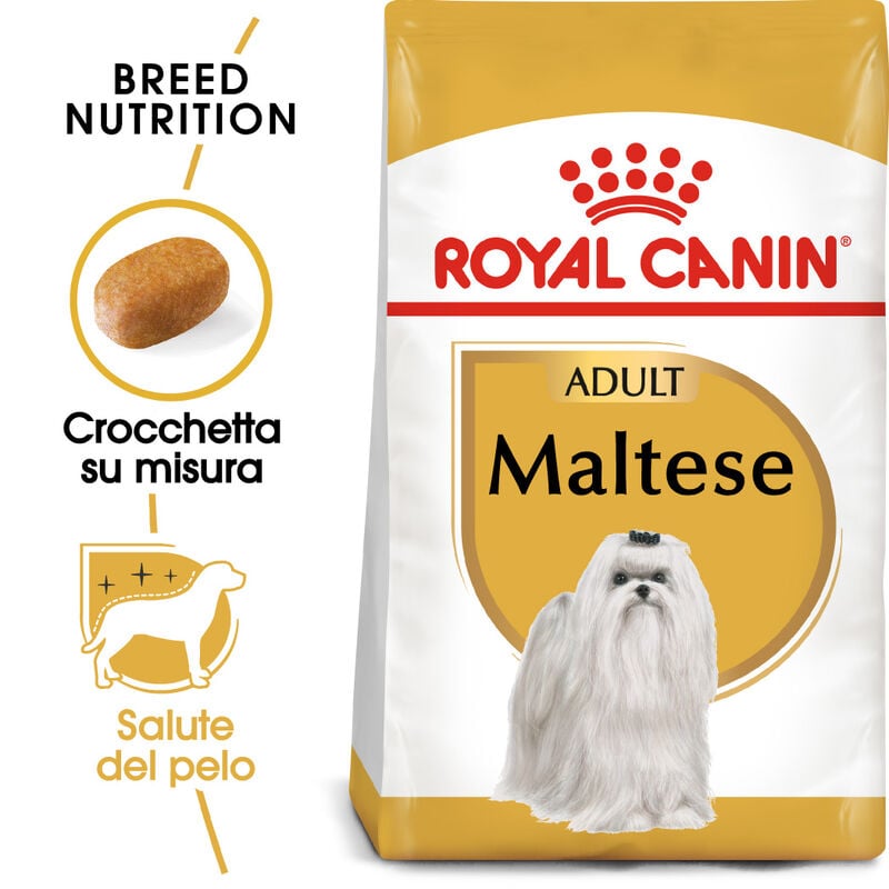 Royal Canin Dog Adult Maltese 500 gr - Scad. Gennaio 26