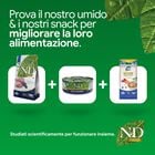 N&D Farmina Prime Cat Adult Agnello & Mirtillo 1,5 kg