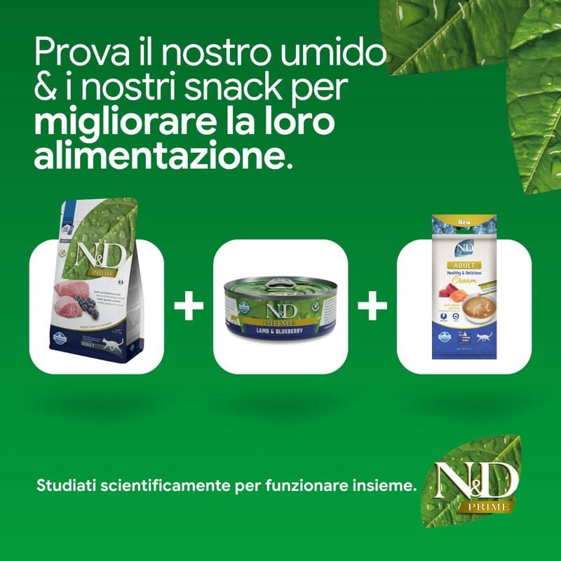 N&D Farmina Prime Cat Adult Agnello & Mirtillo 1,5 kg