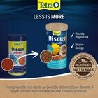 Tetra Discus Granules 100 ml