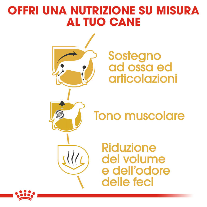 Royal Canin Dog Adult e Senior Bassotto 1,5 kg