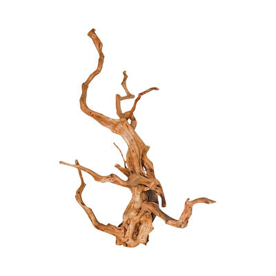 Blu Bios Decorazione Legno Driftwood 50/70 cm