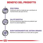 Royal Canin Expert Cat Adult Neutered Balance 85x12 pz