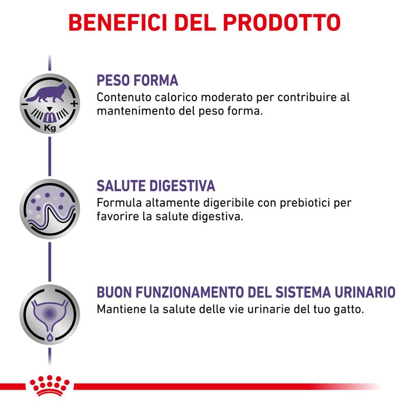 Royal Canin Expert Cat Adult Neutered Balance 85x12 pz