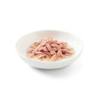 Schesir Cat Tonnetto in brodo 70 gr