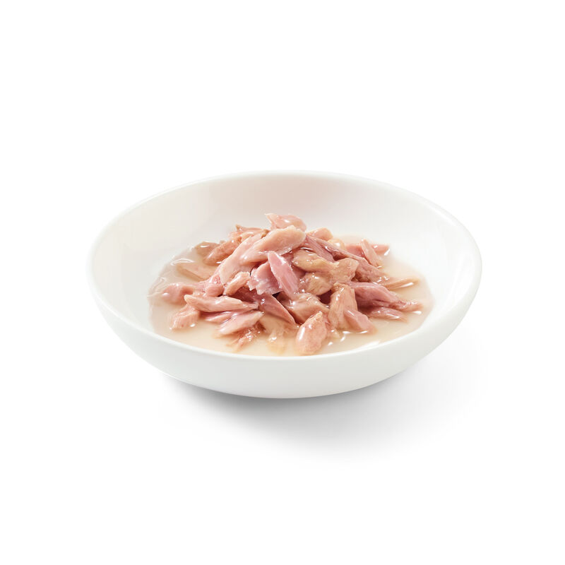 Schesir Cat Tonnetto in brodo 70 gr