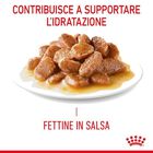 Royal Canin Cat Adult Hair&Skin Gravy 85 gr