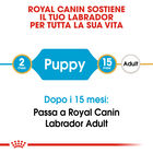 Royal Canin Dog Puppy Labrador Retriver 12 kg