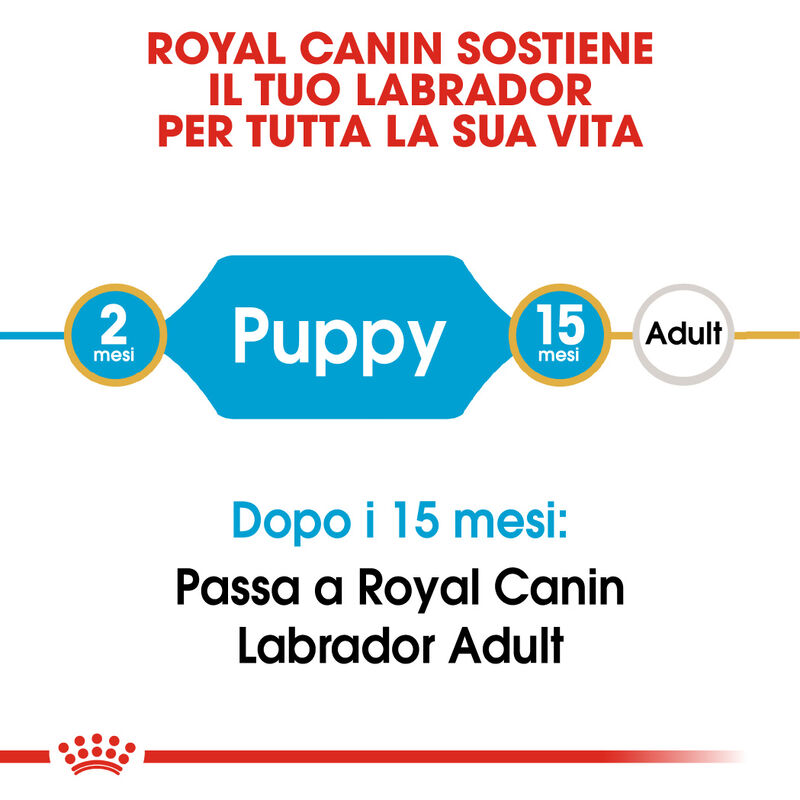 Royal Canin Dog Puppy Labrador Retriver 12 kg