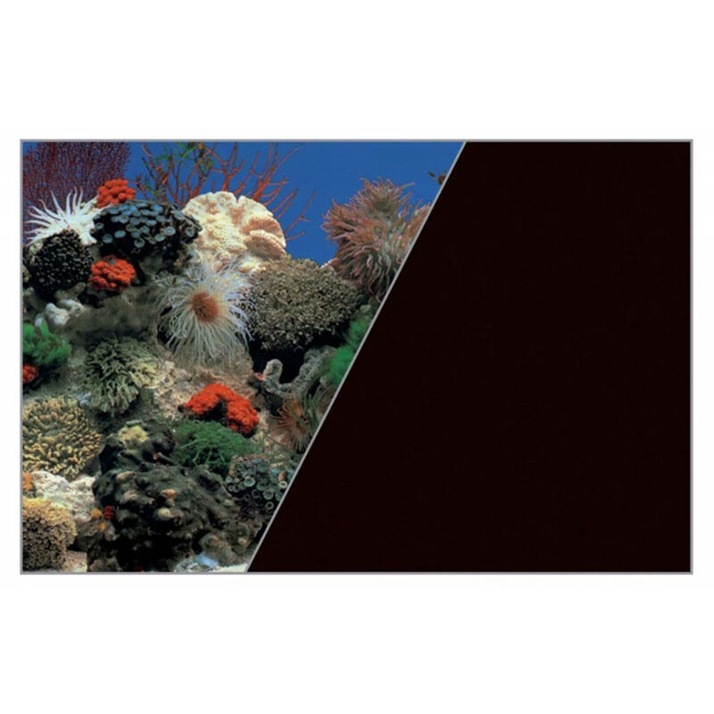 Zolux Sfondo per Acquari Corallo/nero 60x120 cm