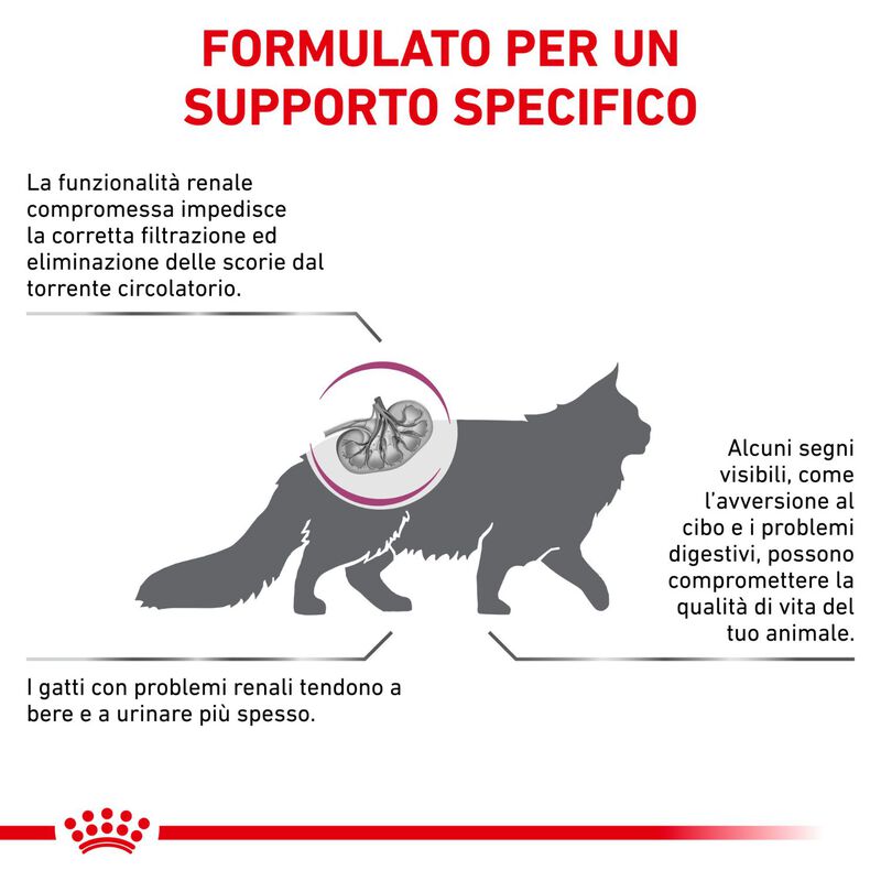 Royal Canin Veterinary Diet Cat Renal 2 kg