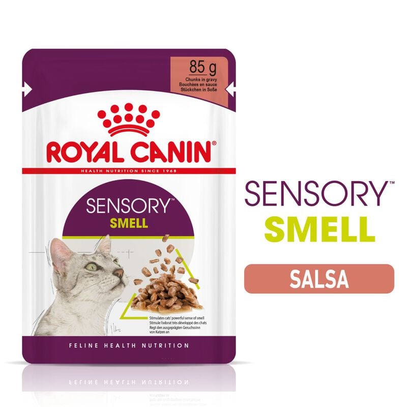 Royal Canin Cat Adult Sensory Smell Salsa 85 gr Royal Canin Cat Adult Sensory Smell Salsa 85 gr