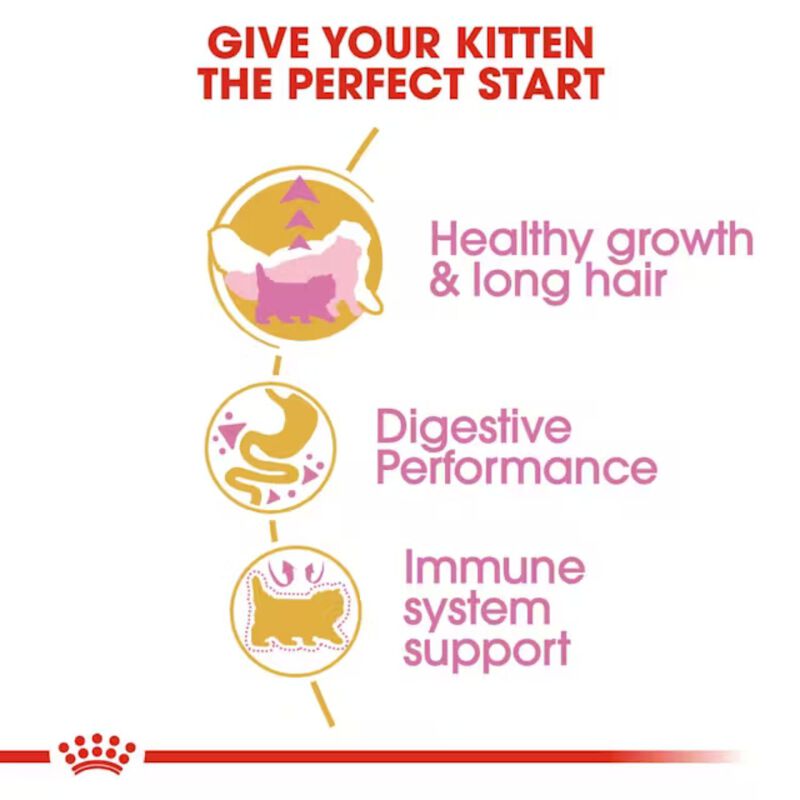 Royal Canin Cat Kitten Persian 2 kg