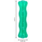 Kong Squeezz Bastoncino dentale per cani Tg M 