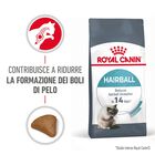 Royal Canin Hairball Care Adult Cat 10 kg