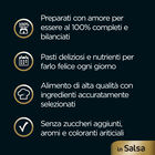 Cesar Dog Delizie del Giorno Multipack Pollo e Verdure e Manzo e Carote in Salsa 4x100 gr