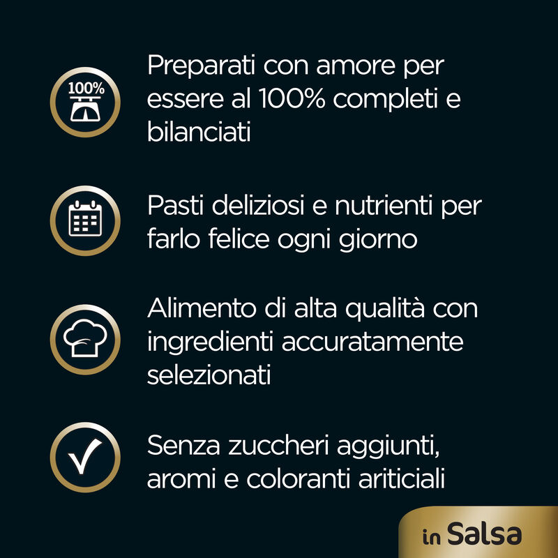 Cesar Dog Delizie del Giorno Multipack Pollo e Verdure e Manzo e Carote in Salsa 4x100 gr