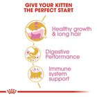 Royal Canin Cat Kitten Persian 400 gr