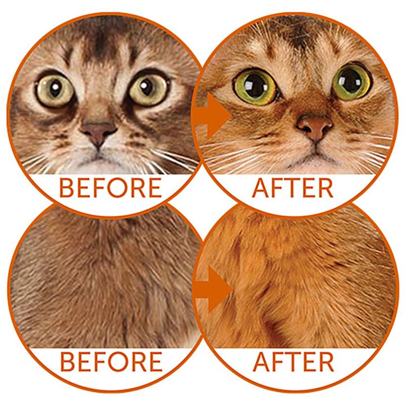 Nature's Protection Superior Care Cat Adult Pelo Rosso con Aringa 1,5 kg Grain Free