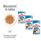 Royal Canin Dog Medium Puppy 140 gr