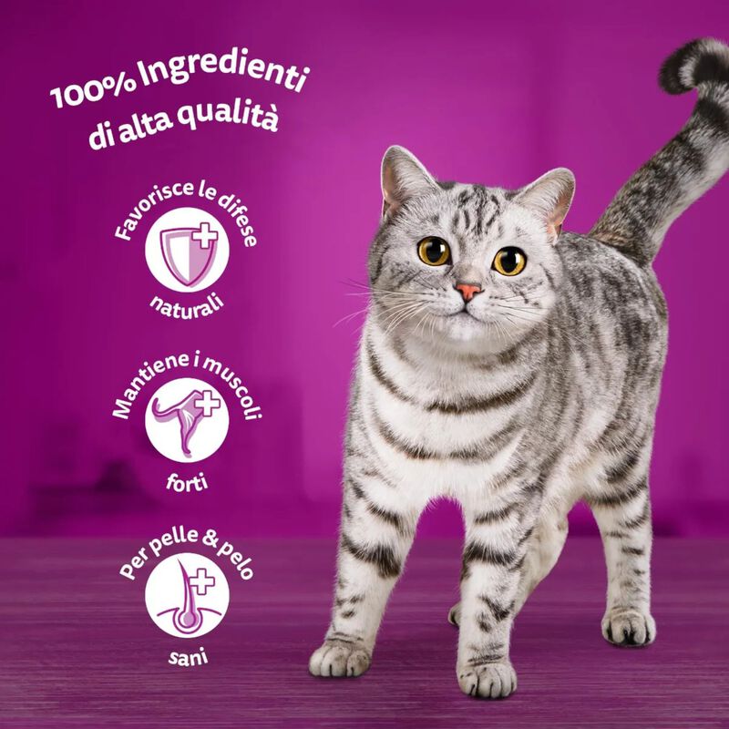 Whiskas Cat Adult 1+ Croccantini Manzo 1,4 kg