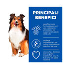 Hill's Dog Treats Hypoallergenic 200 gr
