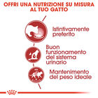 Royal Canin Cat Adult Instinctive Gravy 85gr