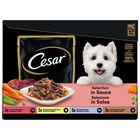 Cesar Dog Delizie del Giorno con Pollo e Verdure e Manzo e Carote in Salsa 12x100 gr