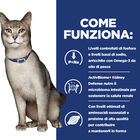 Hill's Prescription Diet Cat k/d spezzatino con tonno e verdure 82gr