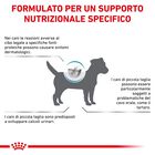 Royal Canin Veterinary Diet Mini Dog Hypoallergenic 1 kg