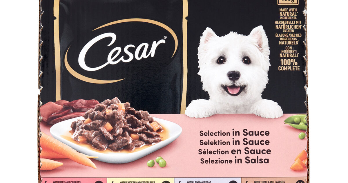 Cesar Dog Multipack Bustine in Salsa 24 pz x 100 gr | L'Isola dei Tesori