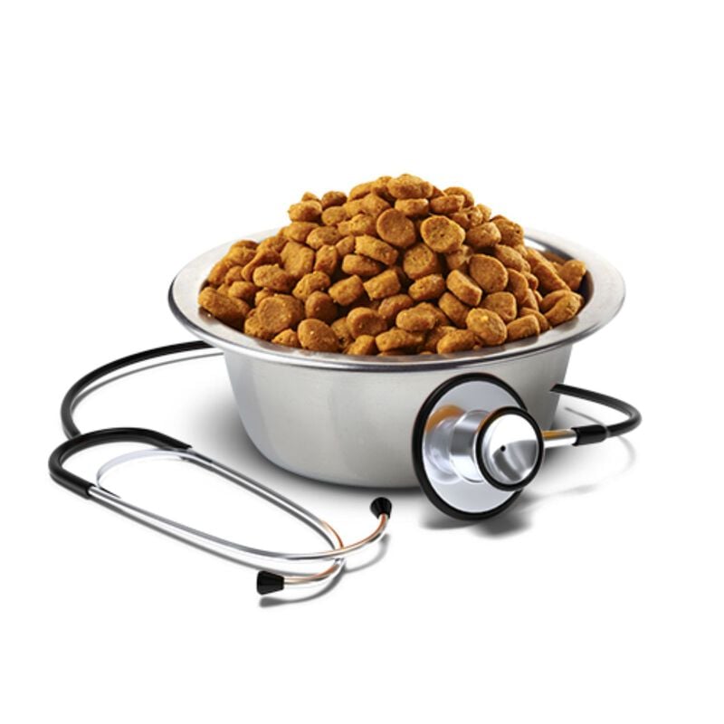 Farmina Vet Life Dog Hypoallergenic Maiale e Patate 2 Kg