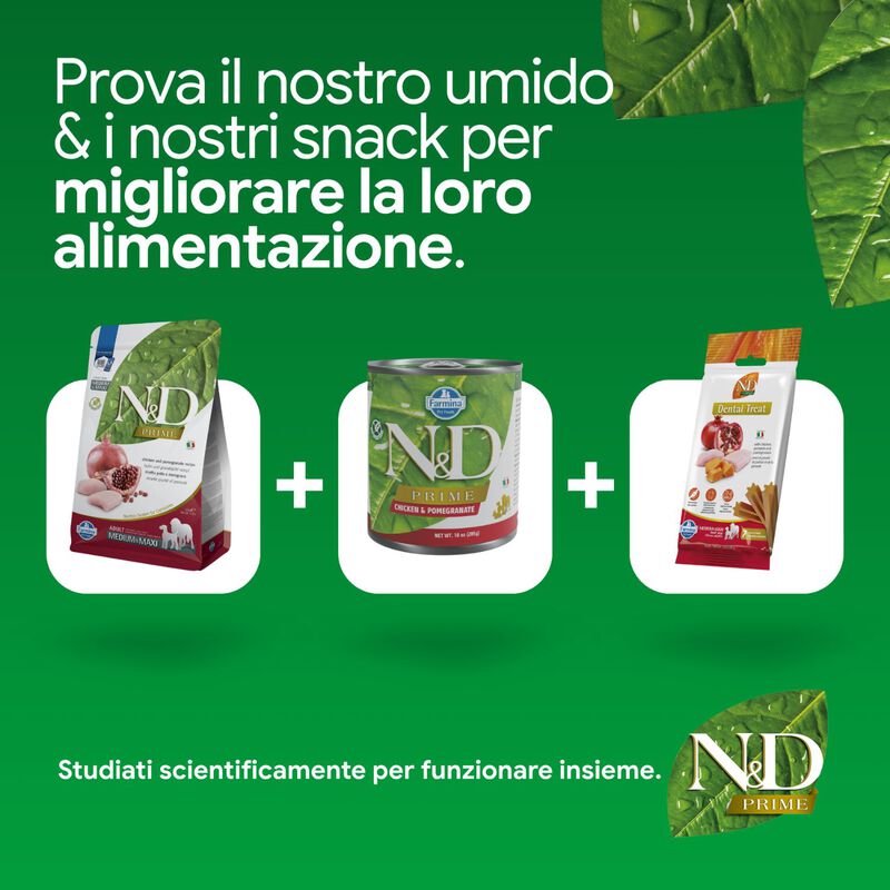 N&D Farmina Prime Dog Adult Medium & Maxi Pollo & Melograno 2,5 kg