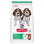 Hill's Science Plan Dog Puppy Medium con Agnello e Riso 2,5 kg