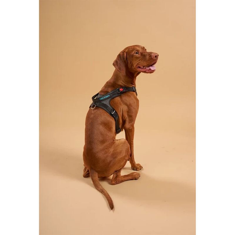 Tre Ponti Pettorina Harmonia per cani tg M col. Nero