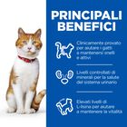Hill's Science Plan Cat Adult Sterilised con Tacchino 85 gr