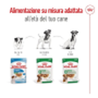 Royal Canin Dog Mini Adult 85 gr