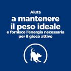 Hill's Prescription Diet Dog Mini Metabolic + Mobility 1 kg