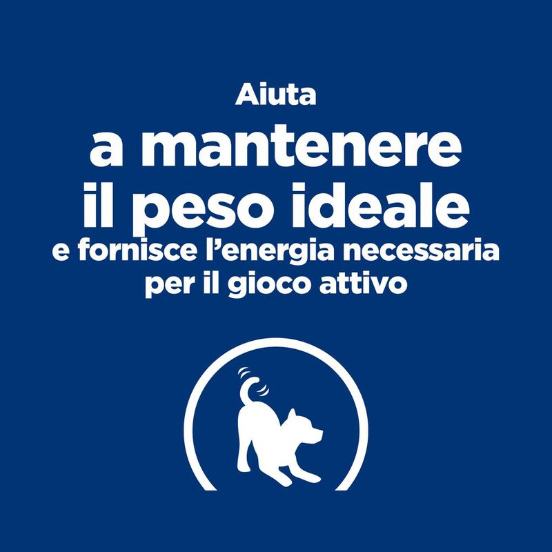 Hill's Prescription Diet Dog Mini Metabolic + Mobility 1 kg