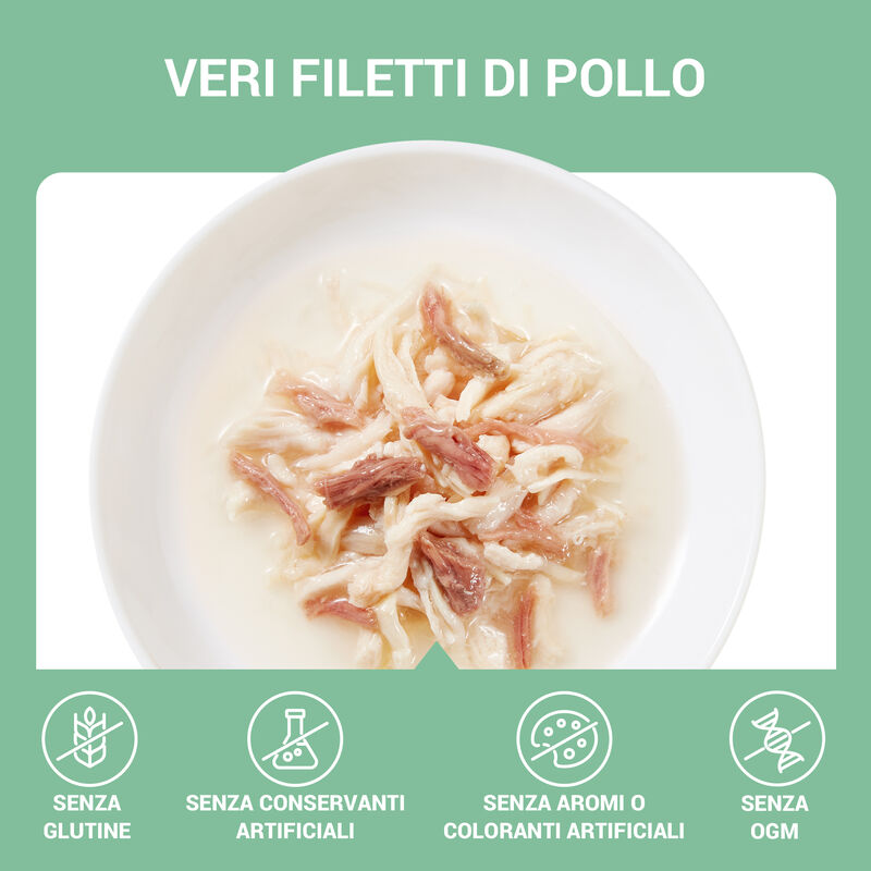Schesir cat Filetti di Pollo, Manzo e Riso 70gr