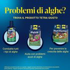 Tetra Algizit 10 Compresse