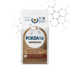 Forza10 Active Vet Diet Dog Adult Intestinal Colon fase 2 10 kg